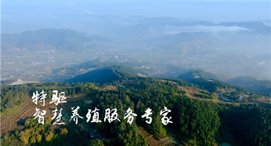 特驅農牧宣傳片