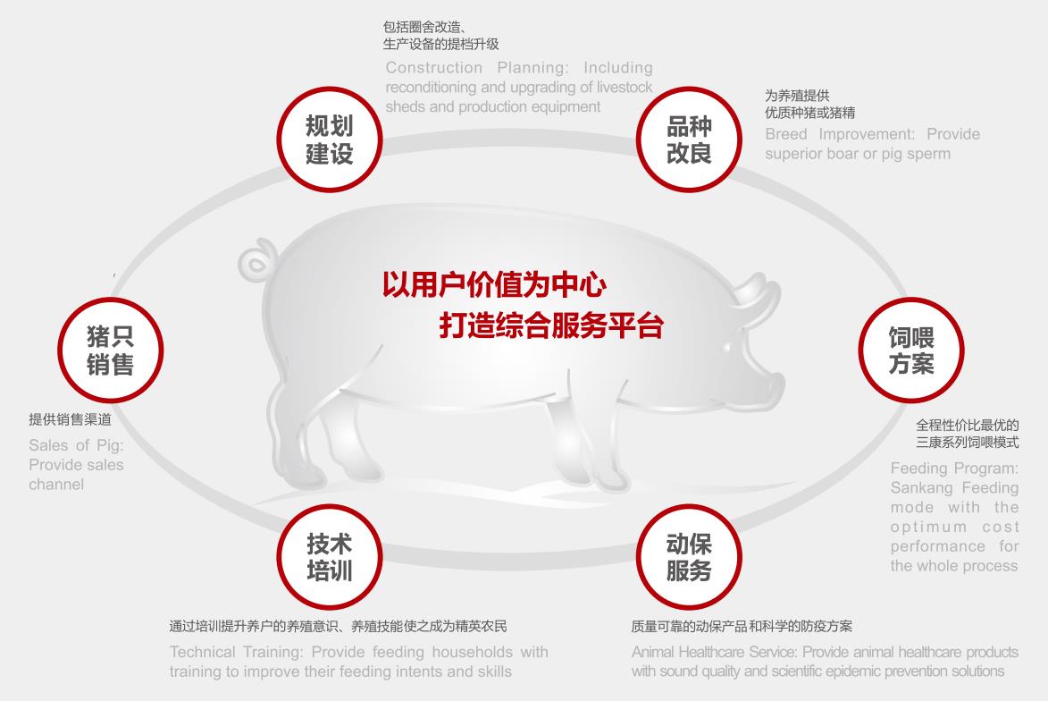 打造綜合養殖服務平臺